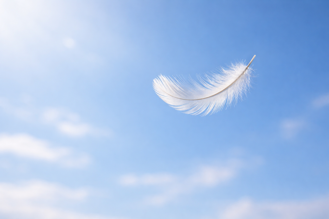 Feather floats