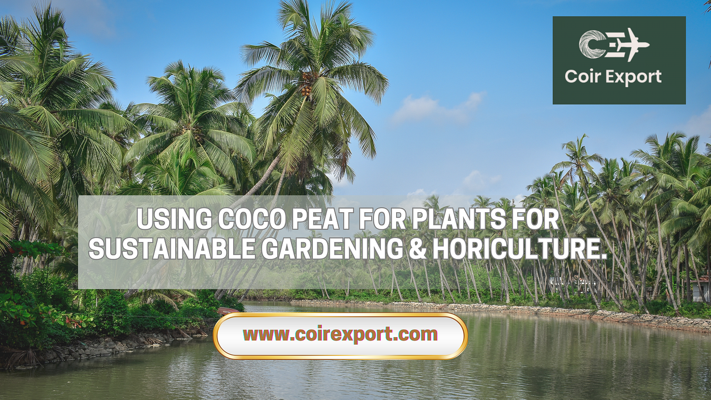 Using Coco Peat for Plants: The Complete Guide to Sustainable Gardening & Horticulture