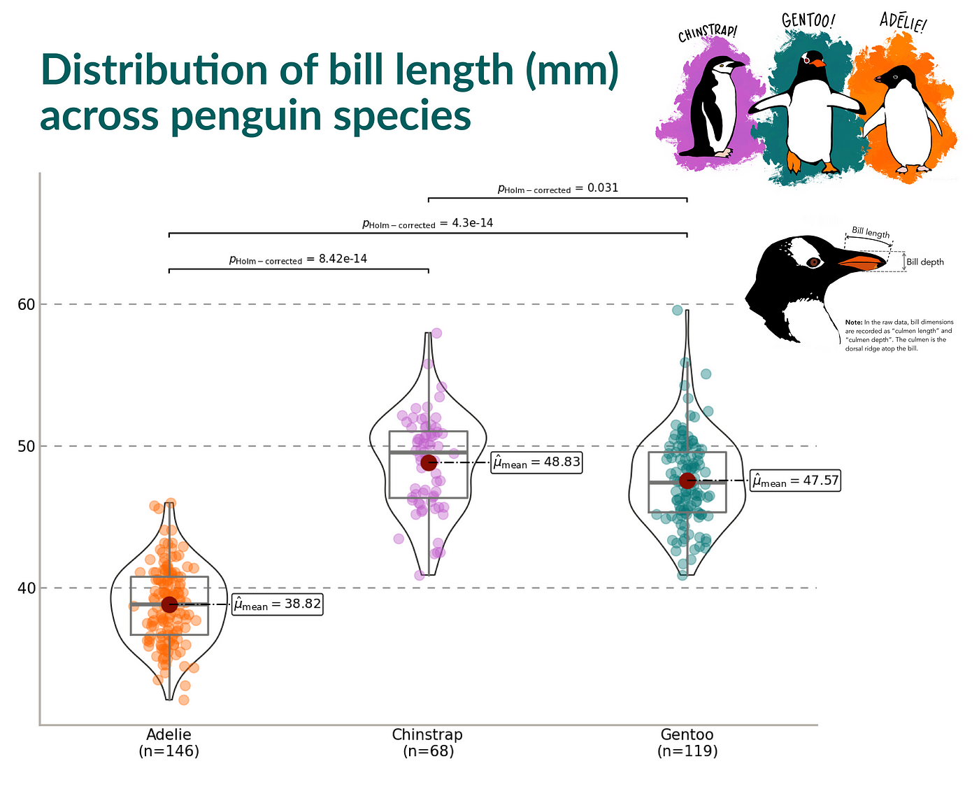 Day 19: Penguins & Python. Palmer Penguins visualization made with… | by  Paige Smyth | Medium