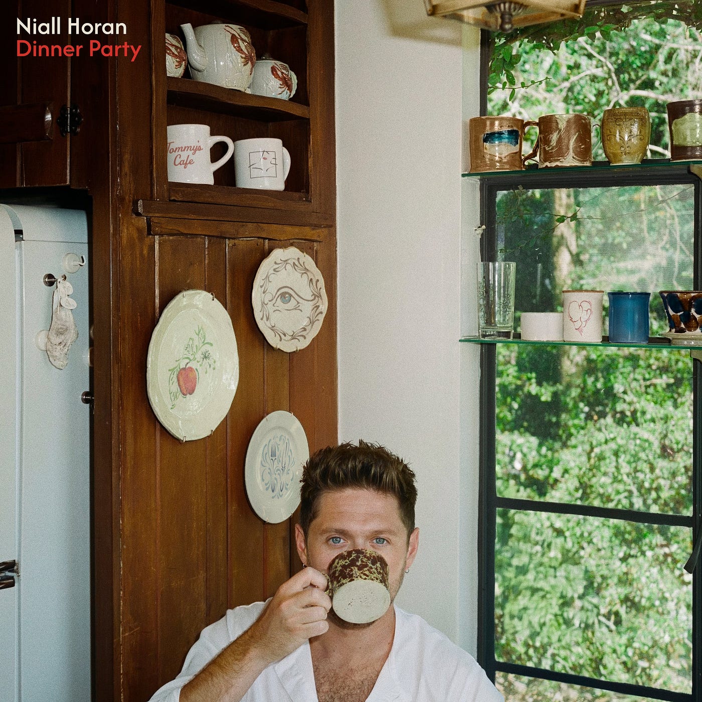 Niall Horan nos convida para sua Dinner Party