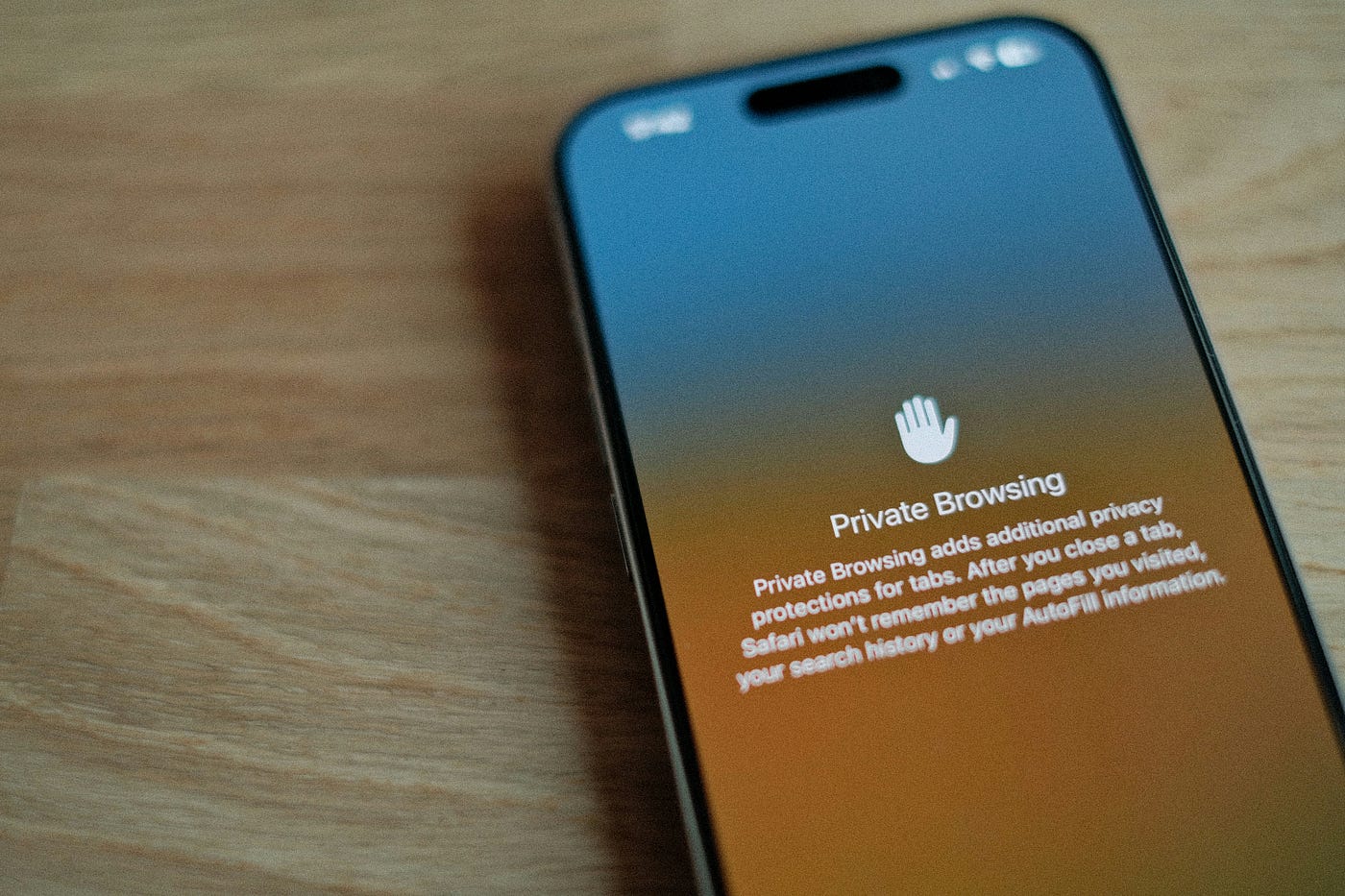 Securing Your Privacy and Freedom Online