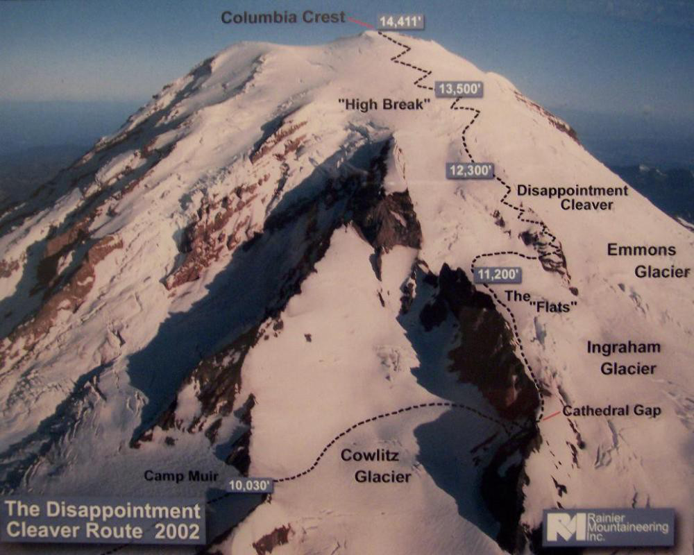 WASTETWICE ✕ Mt.RAINIER メンズ