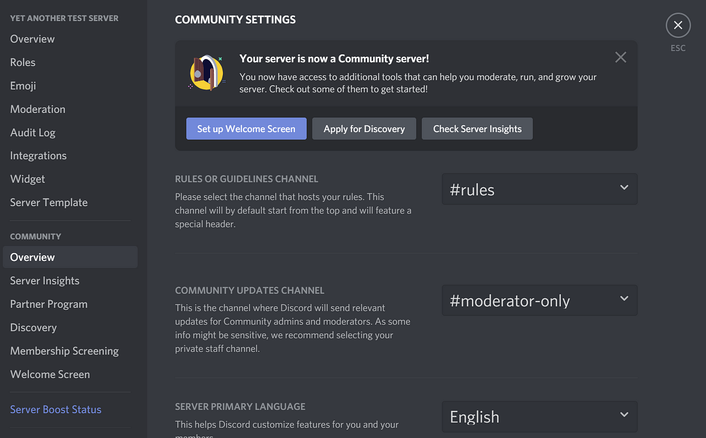 Community Server Features Every Creator Should Know About