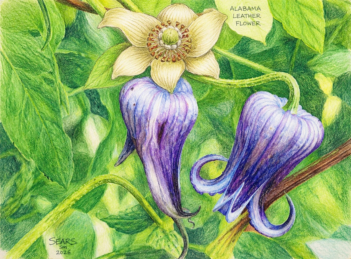 The Flower That Stops Cars