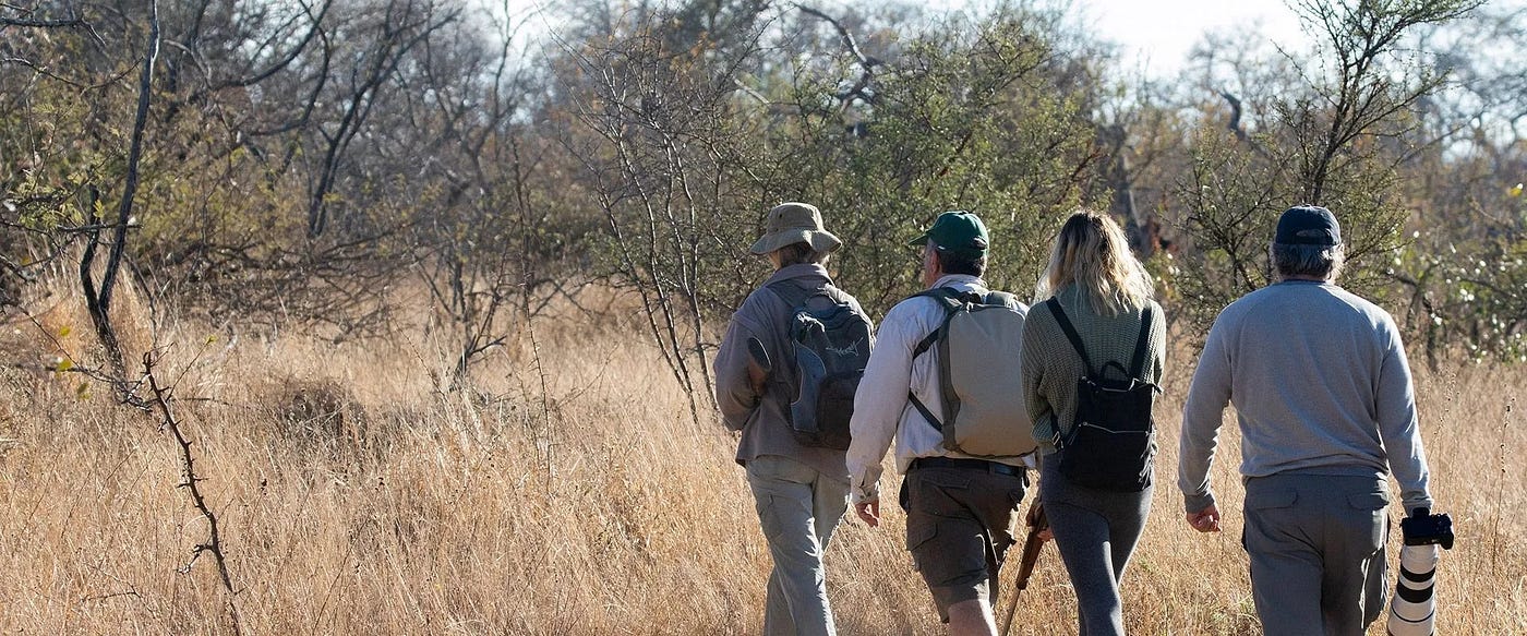 Walking Safari around Hoedspruit