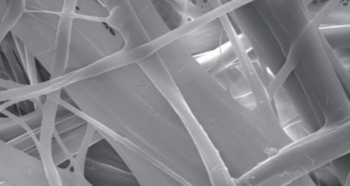 The Secret in the Seed: Rethinking the Foundation of Protective Science