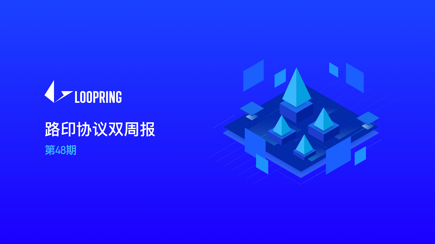 路印协议项目进度报告（第48期）