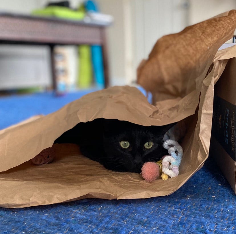 A black cat with yellow eyes hiding in a brown paper bag that’s been tipped on its side.