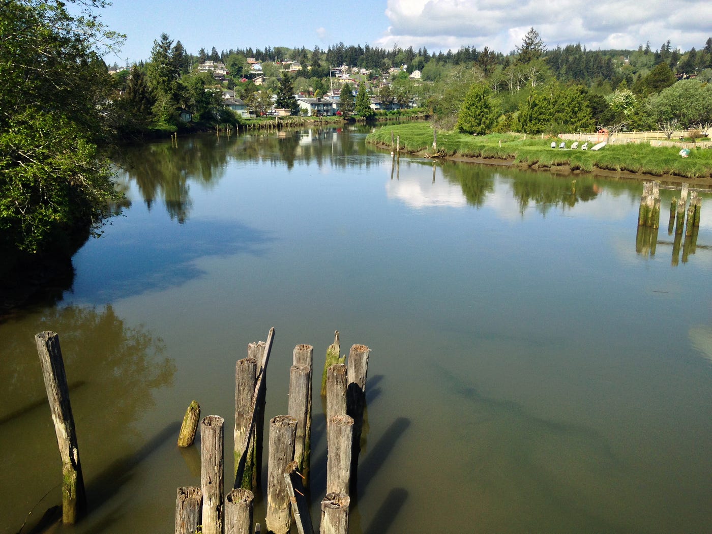 Aberdeen, Ocean Shores, Lake Quinault | by Alina | Medium