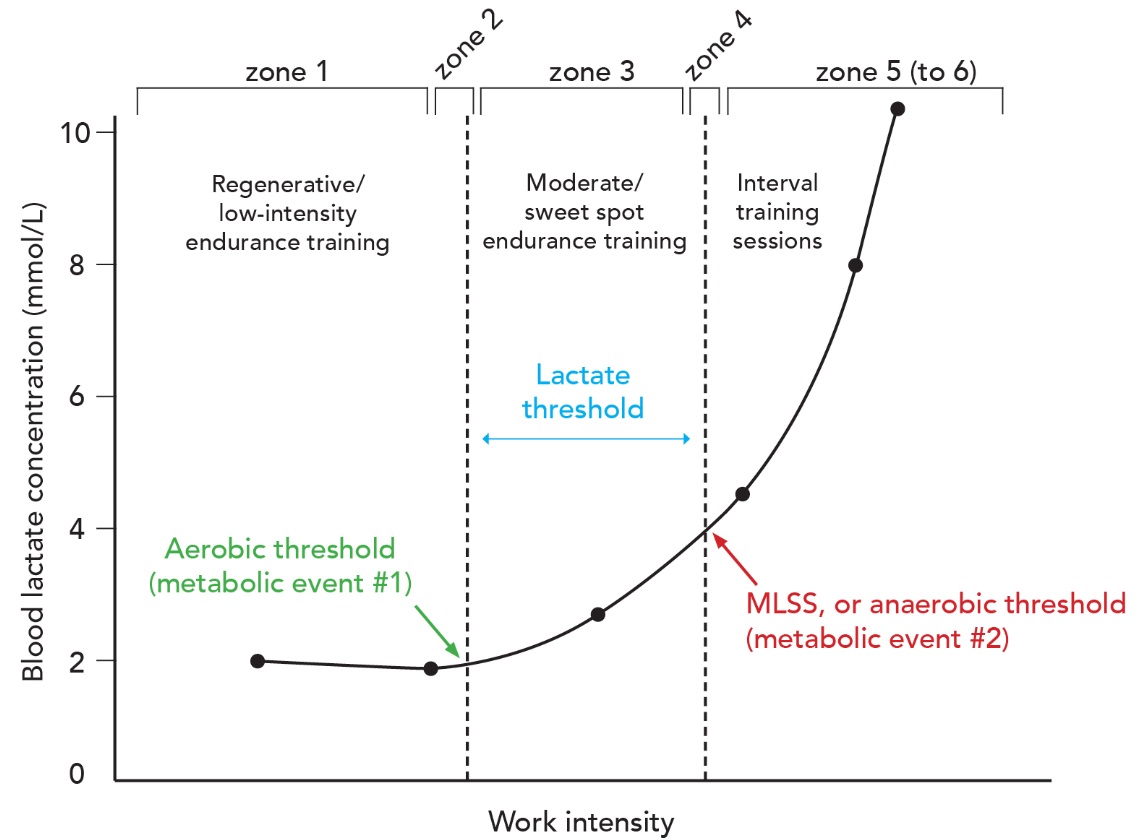 Aerobic vs. Anaerobic Training - Runners Connect