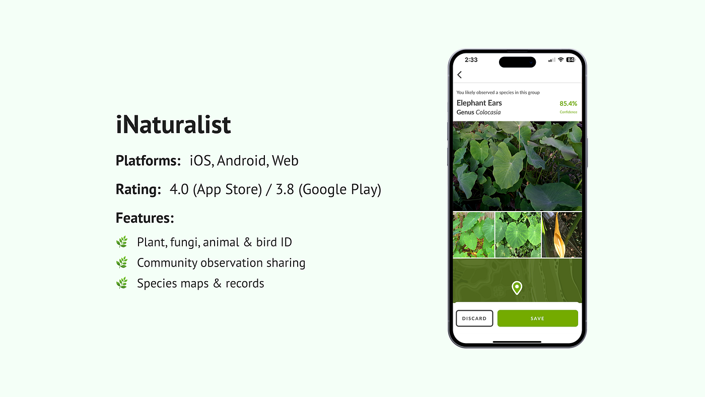 The Best Plant Identification App Tested: 7 Popular Apps Reviewed | Medium