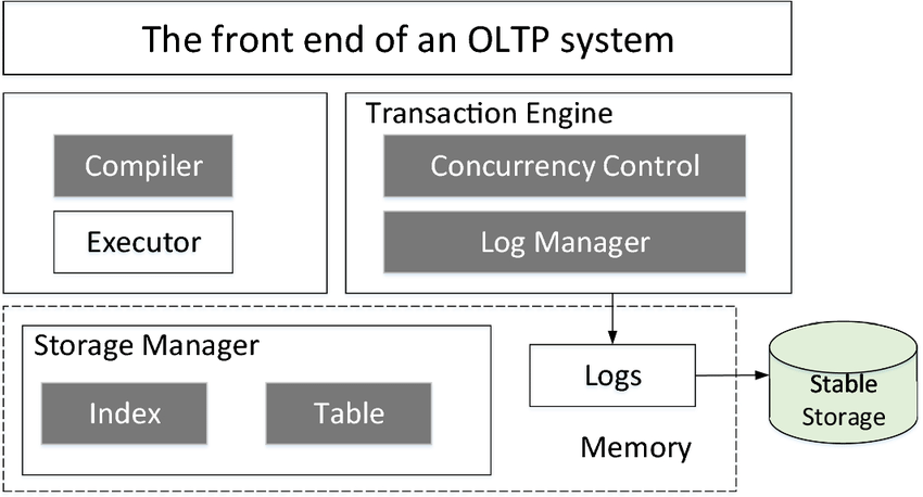 世界的に有名な Processing Analytical Online Vs Transaction Online 洋書