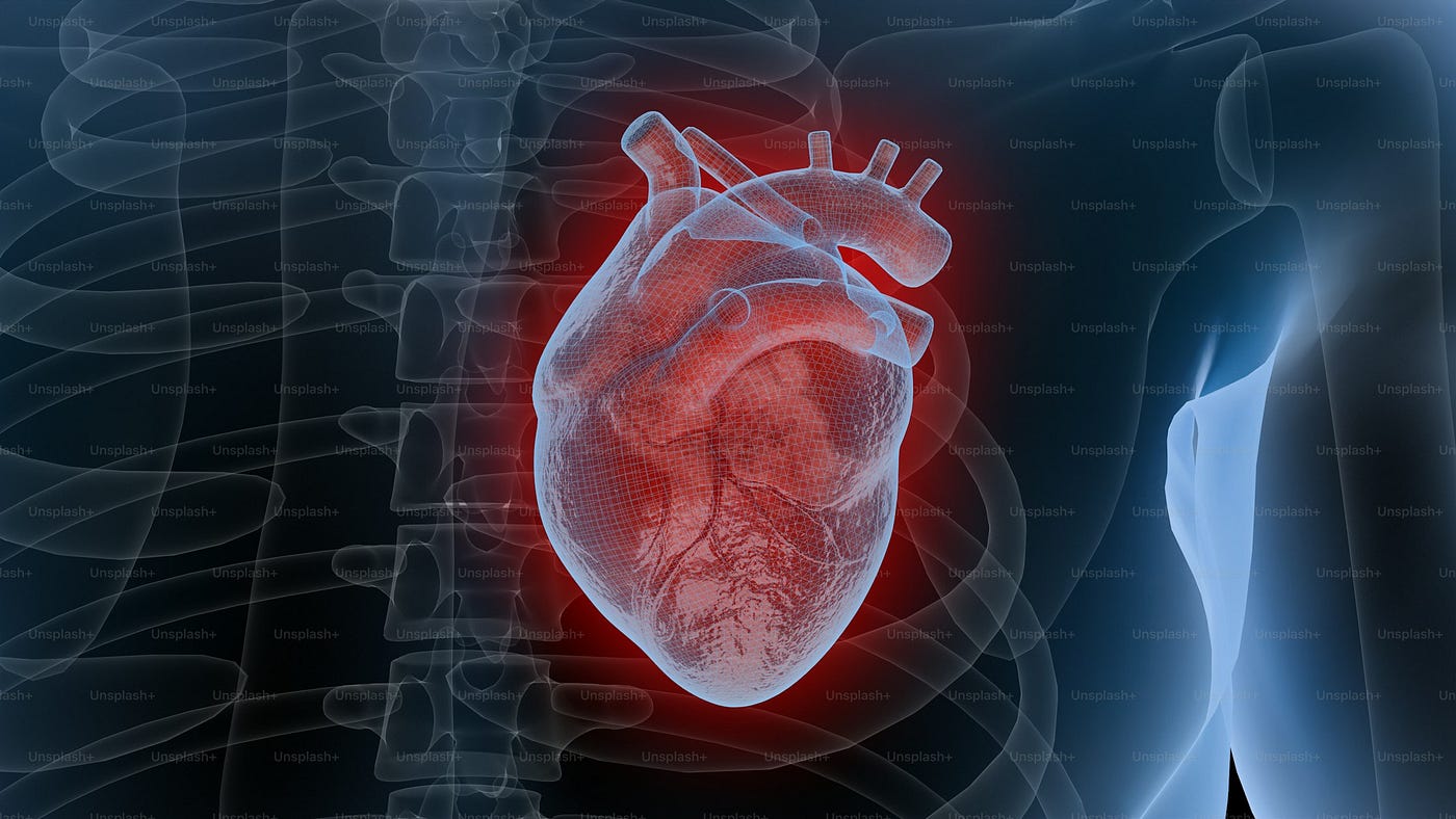 ECG Signal Processing in Python: A Complete Guide with LTBio