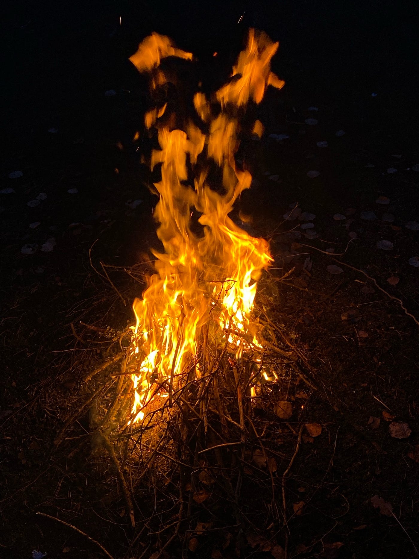 那時候為了體驗生火,在 5 月中的禁火令(怕夏天太乾大家在野外生火一不小心就把整個森林燒了⋯⋯)前趕快跑去 Sognsvann,結果我們也沒買木頭跟木炭什麼的,只好瘋狂在林子撿一堆落葉跟樹枝來維持我們的小火⋯⋯另外晚餐竟然是吃 Domino’s,我盲猜這天應該是星期二,因為星期二有第二個披薩半價還什麼的,所以我們很常吃 xddd