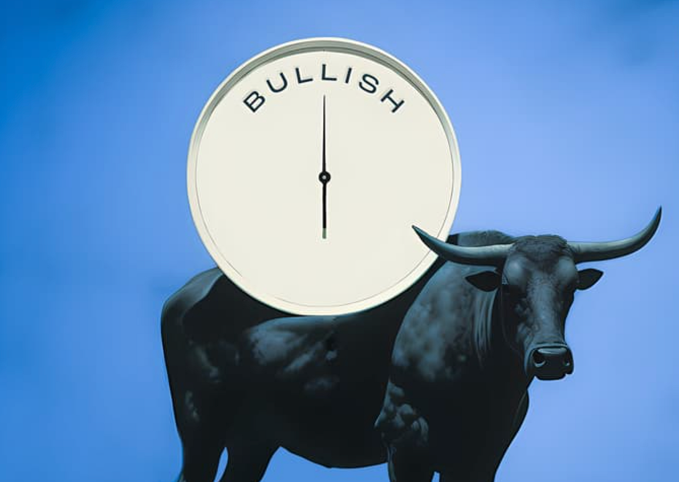Why the Crypto Market Might Be Poised for a Bullish Future in 2024 | by  Alessandro S. Capezza | Medium