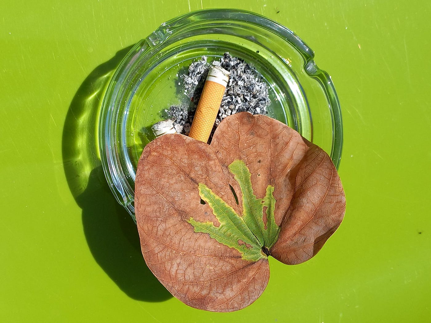 cigarette cravings Cigarette Cravings?. Crush them with this fun trick! | by Angélica Chighine  | Write A Catalyst