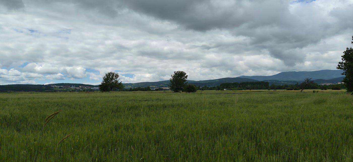 Süreyya