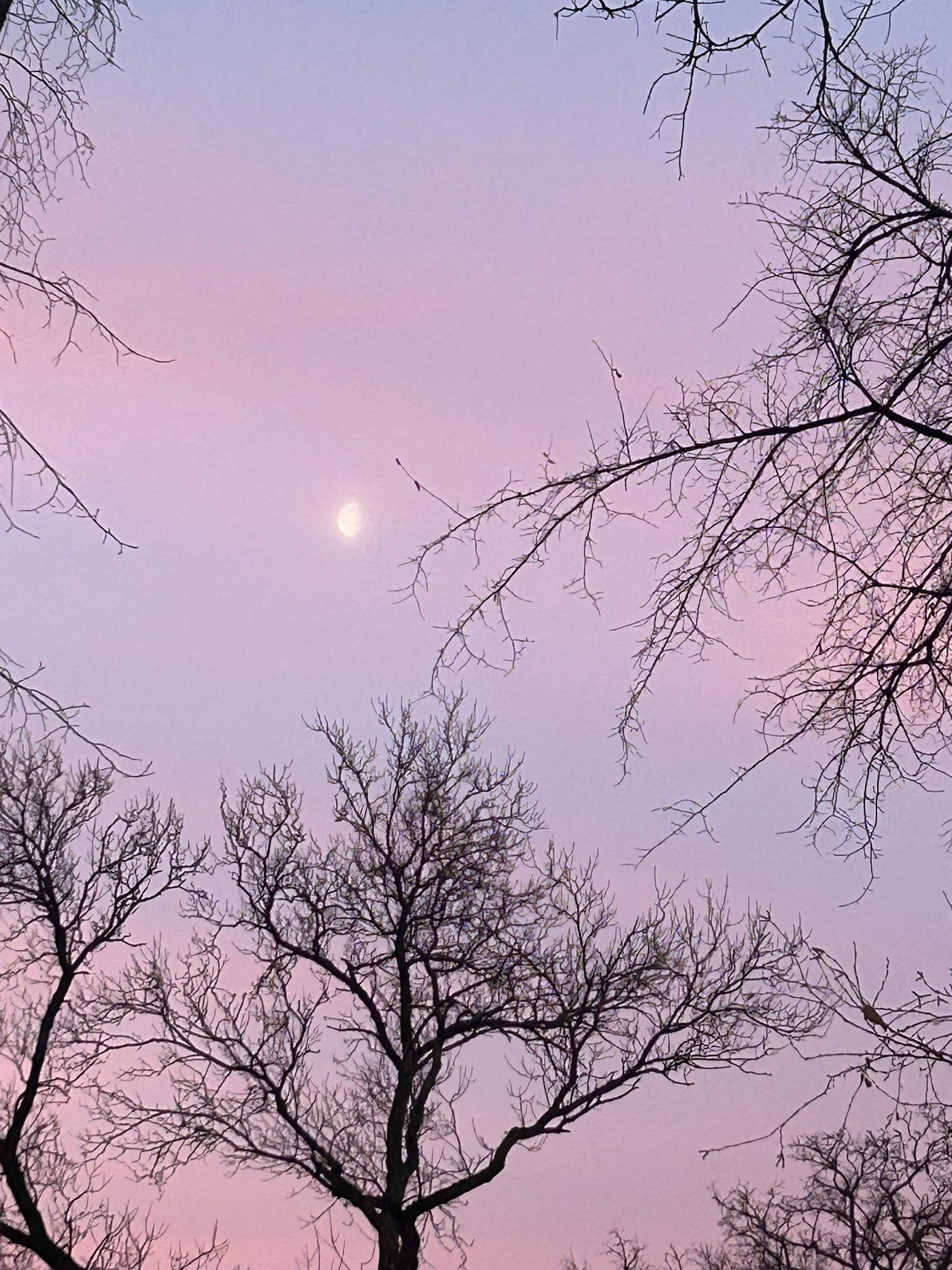 Yesterday\'s Sky. Suspended by a silver string | by J.D. Harms | Write Under  the Moon | Feb, 2024 | Medium