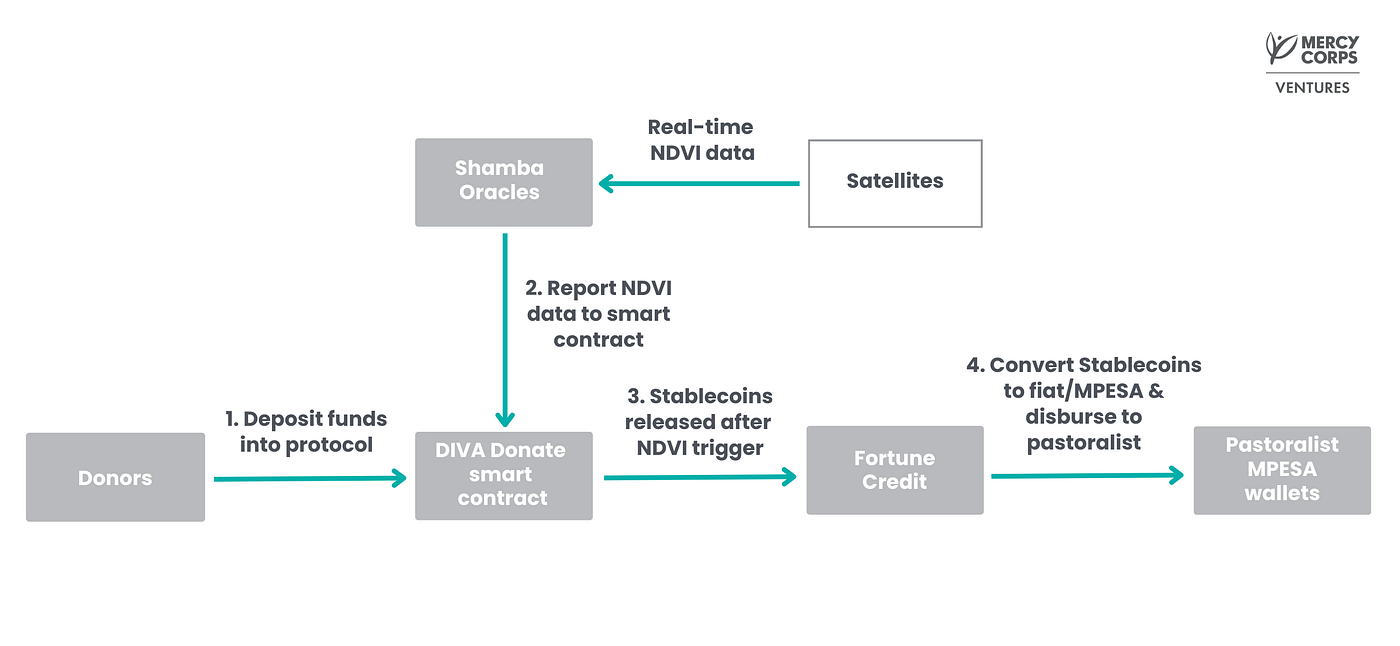 Pilot Launch | Anticipatory Cash Transfers for Climate Shocks in the Horn  of Africa | by Mercy Corps Ventures | Mercy Corps Ventures | Medium