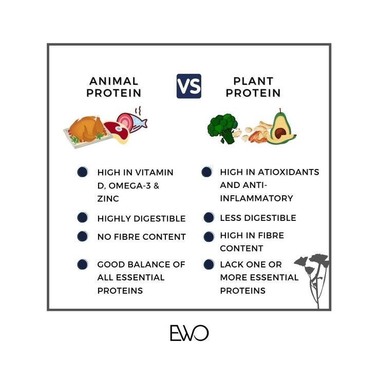 Best Source of Protein: Animals or Plants for Muscle Building | by Aroosh |  Medium
