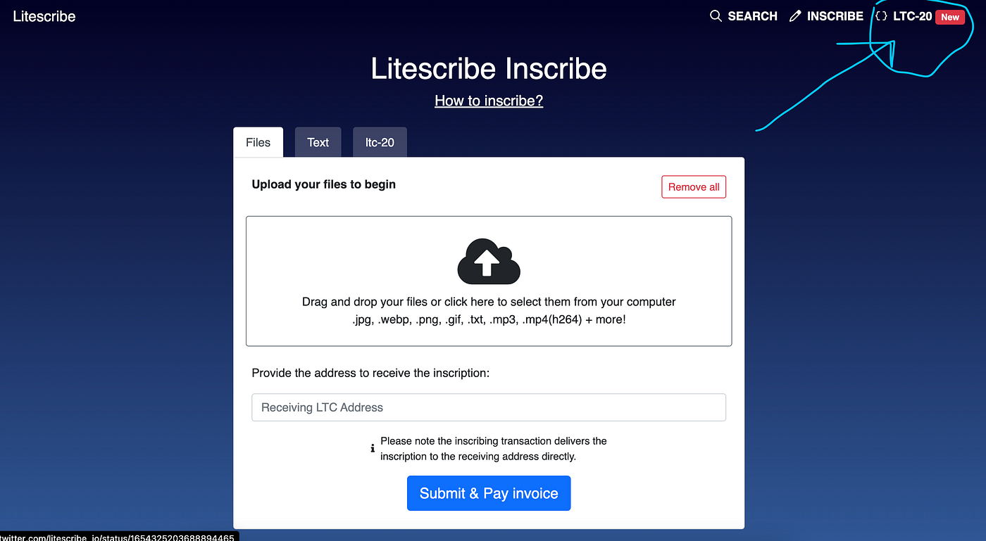 How To Safely Use Electrum Litecoin to Store and Send LTC20 Tokens | by Old  School Crypto | Medium