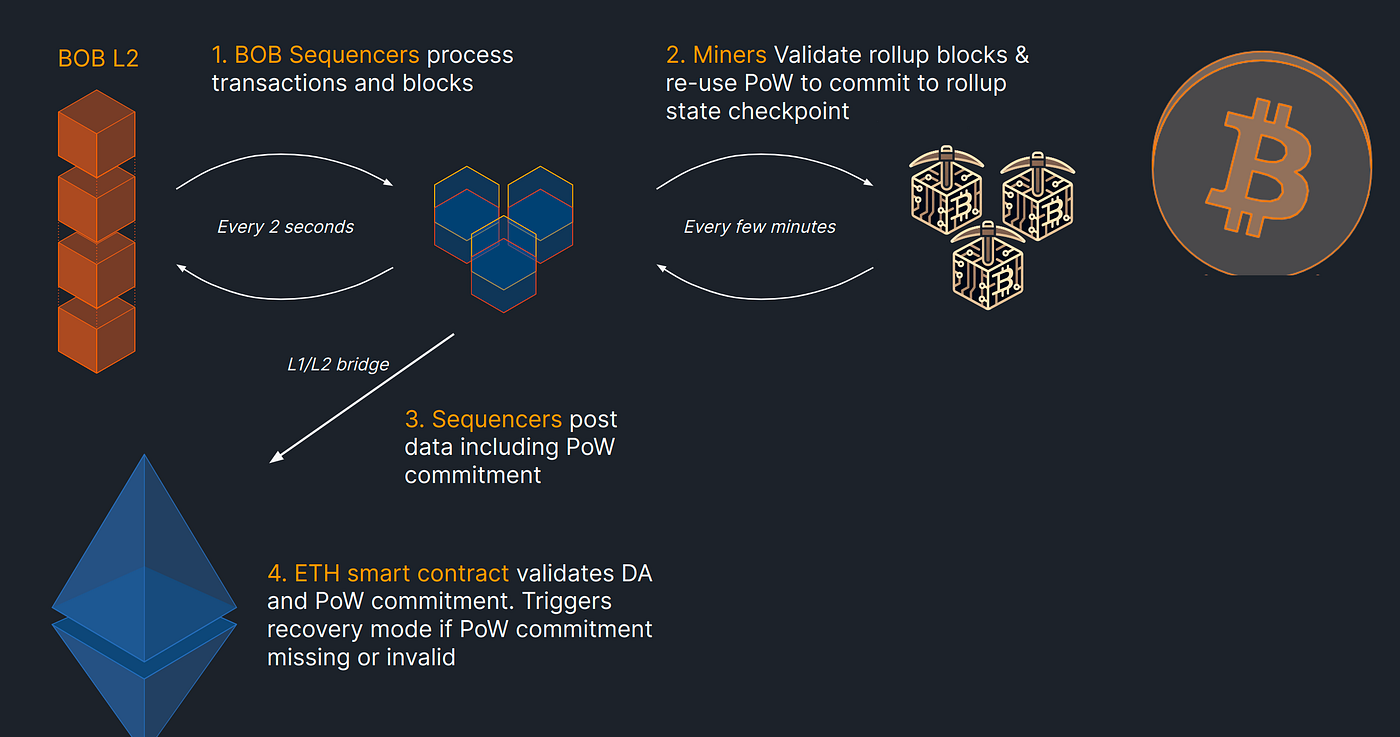 Bitcoin Layer 2 Landscape. How to secure layer 2s using Bitcoin? | by Mahdi  Darabi | TeleSwap
