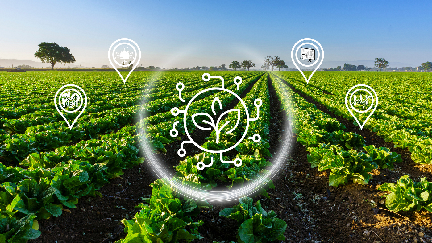 Harnessing Bots for Yield Farming | by Team Earlybird | Medium