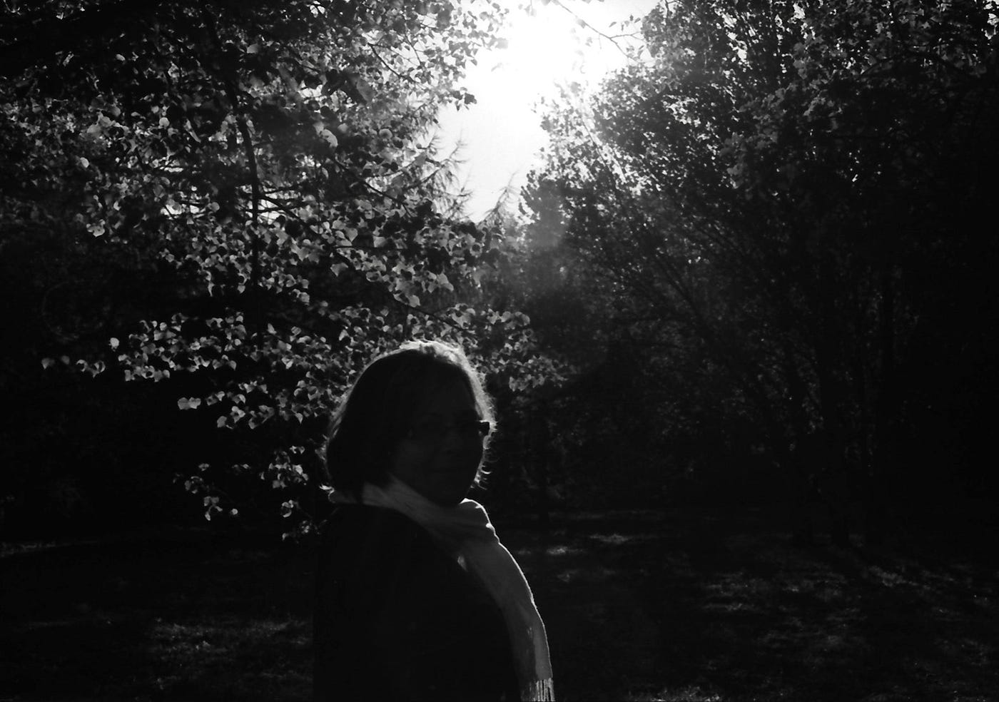 #241 The quiet year