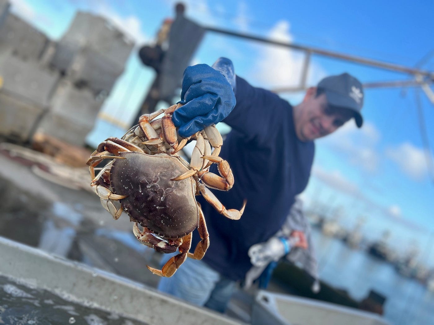 Celebrate Valentine's Day and American Heart Health Month with locally  caught Dungeness crab!, by The Washington Department of Fish and Wildlife