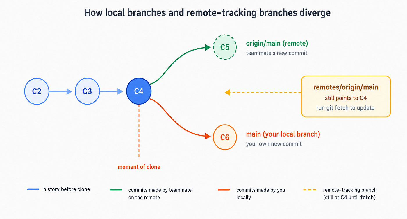 Figure 3: After cloning, your local branch and the remote-tracking branch start at the same commit. Over time they diverge. Run git fetch to bring your remote-tracking branches up to date.
