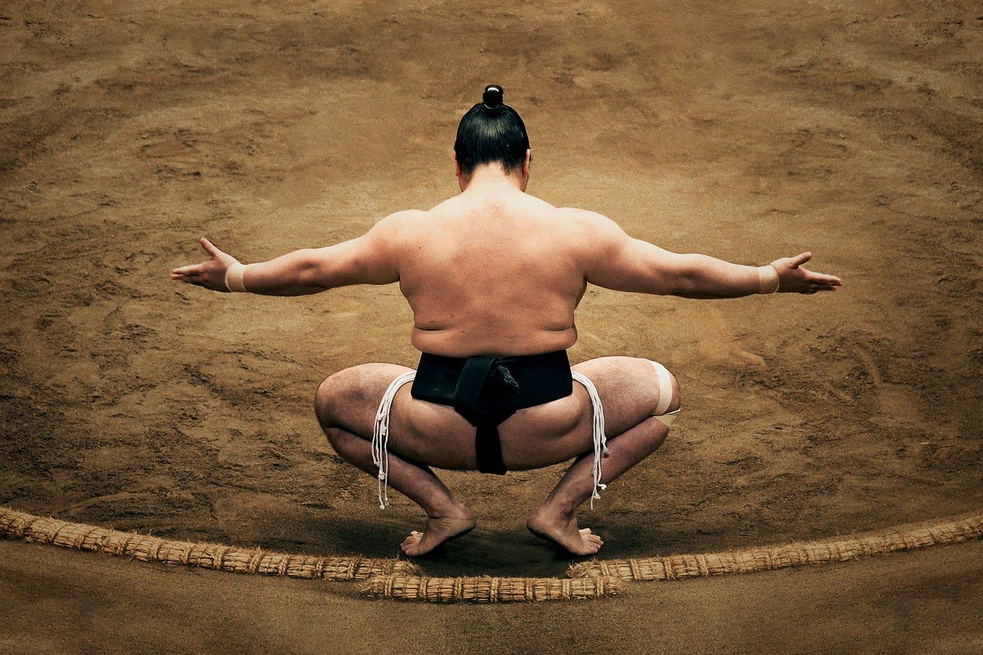 Sumo Wrestlers Characters