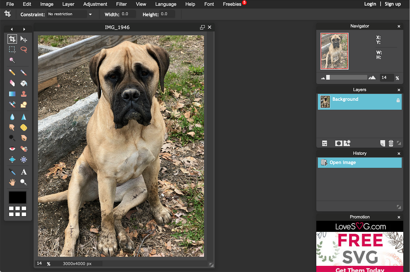 Using Online Photo Editor, Pixlr Editor, by Abigail Davis, Tank, I Need  a Program
