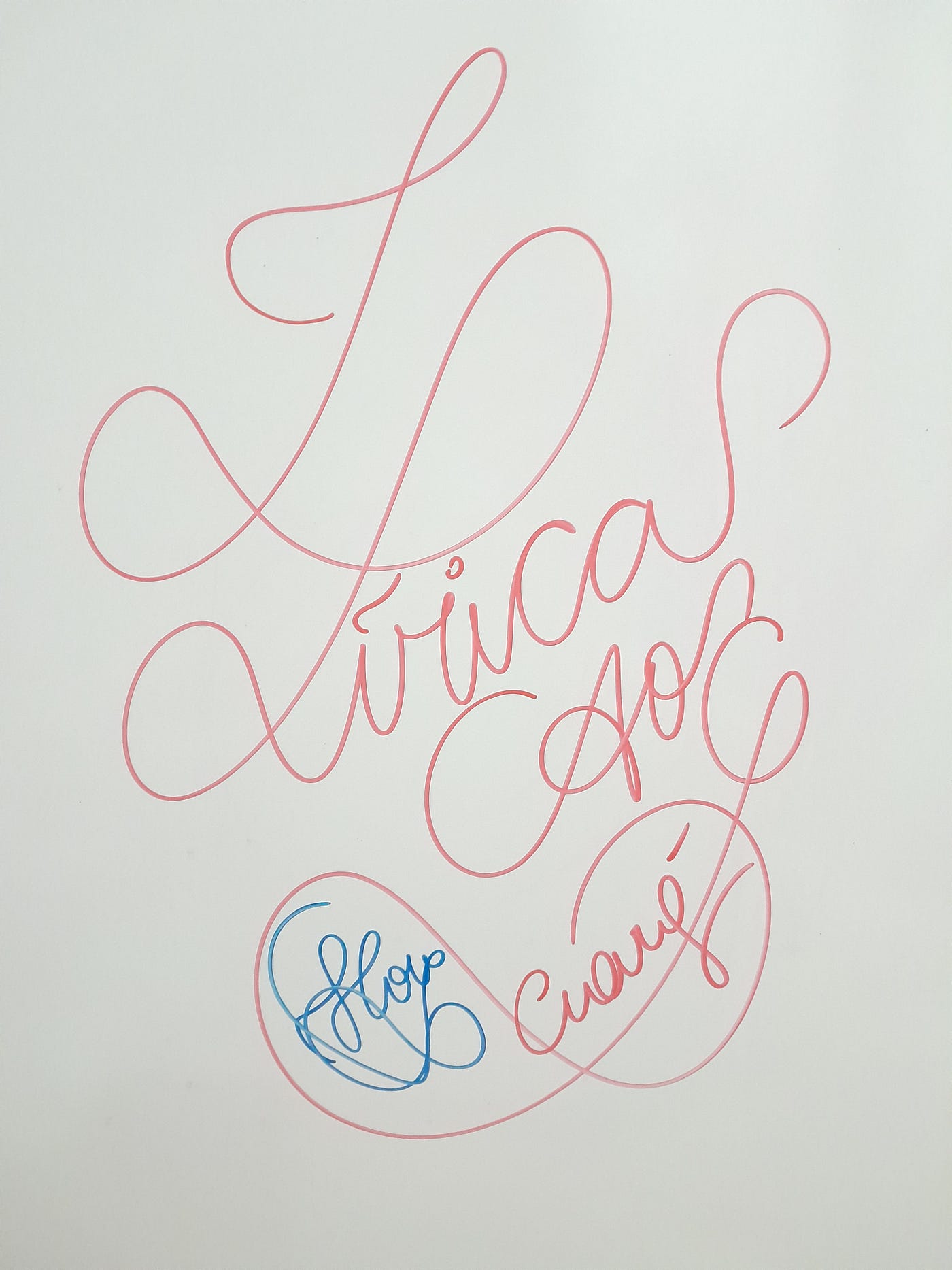 Lírica ao Guará - Cântico I.