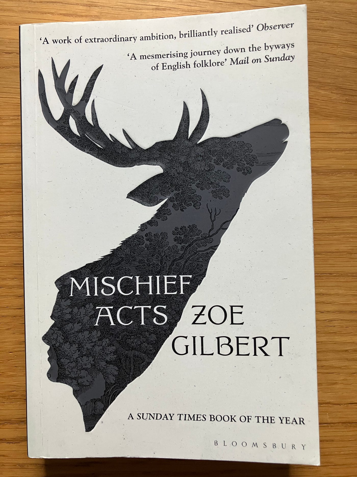 2026 Thumbnail Review #10 Mischief Acts by Zoe Gilbert