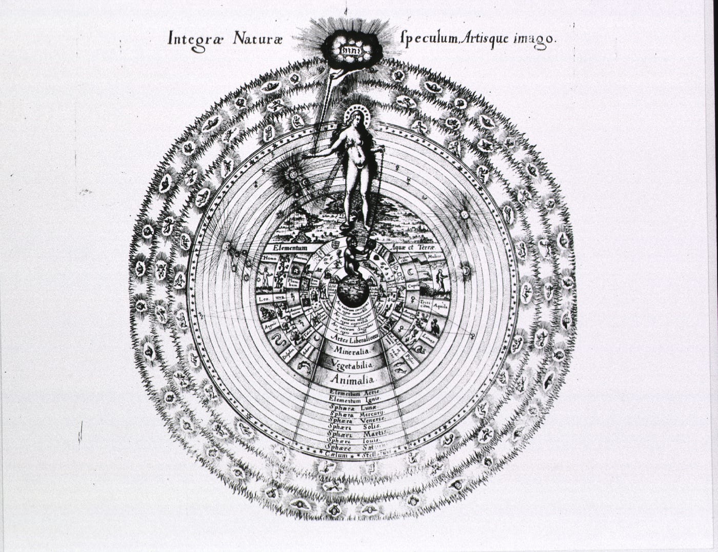 Correspondences in Leonora Carrington's Down Below | by Renata ...