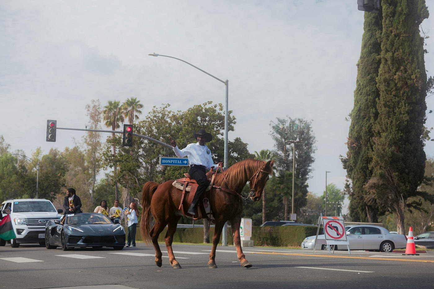 A World Where Horses Replace Cars: A Greener, Better Future?