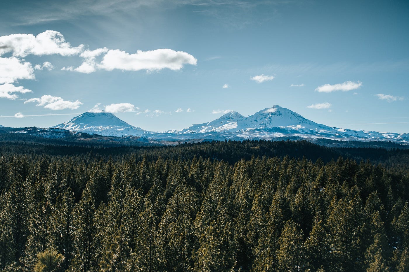 Explaining Feature Importance by example of a Random Forest | by Eryk  Lewinson | Towards Data Science