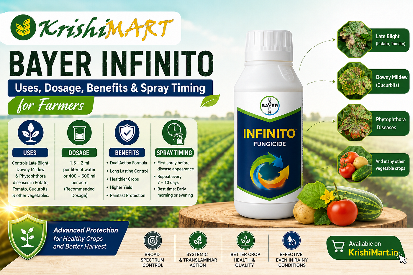 Bayer Infinito Uses, Dosage, Benefits & Spray Timing for Farmers