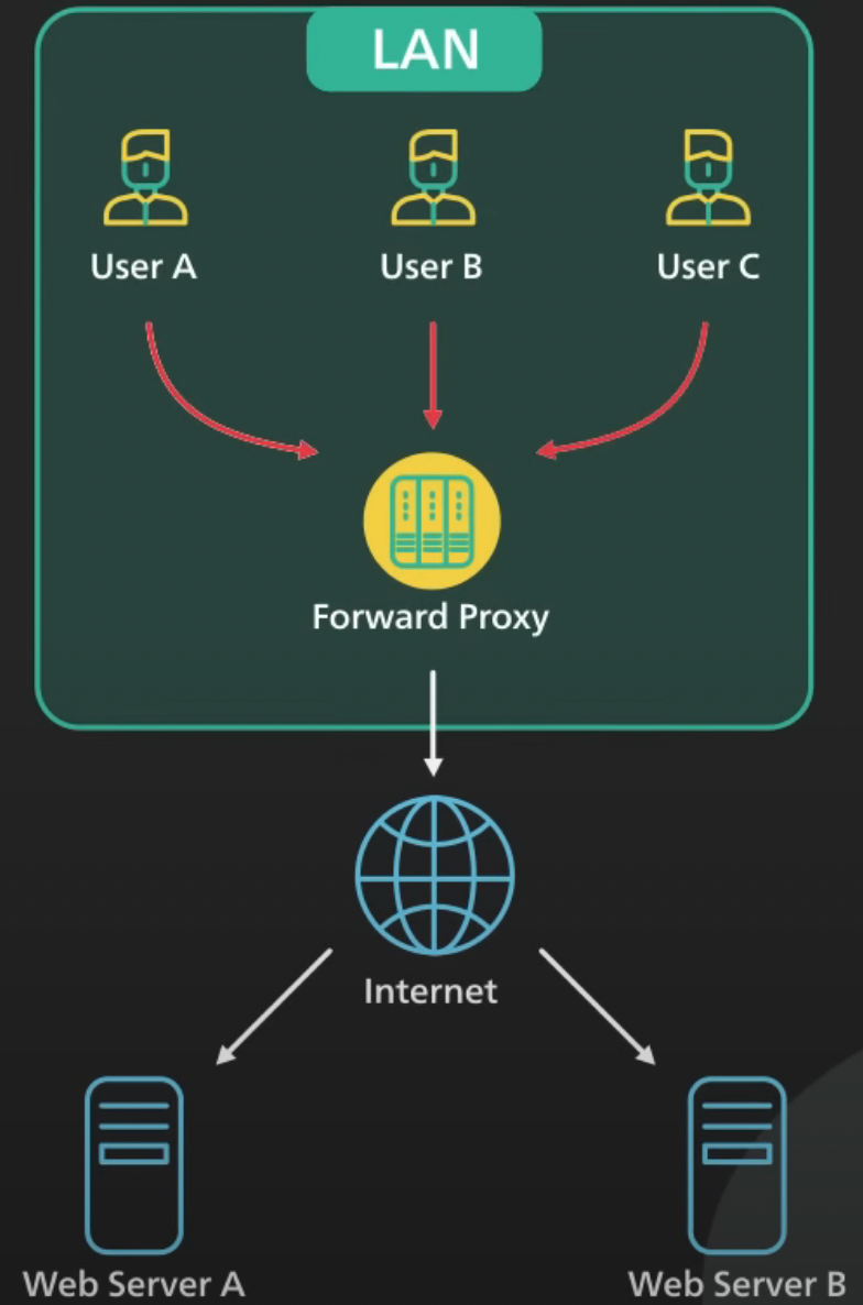 What is a Transparent Proxy, Client vs. Server Side Use Cases