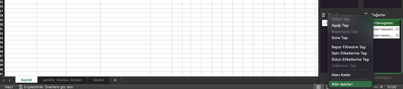 EXCEL: PİVOT TABLOLAR -2-