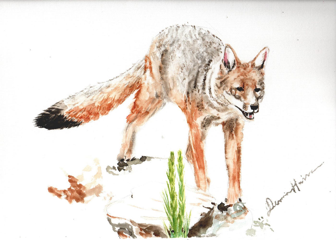 Historias de animales en cuarentena. Día 5