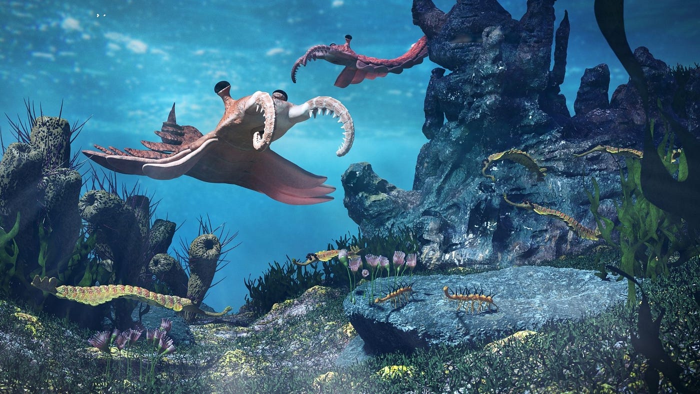 Did a Global Ice Age Help Trigger the Cambrian Explosion?
