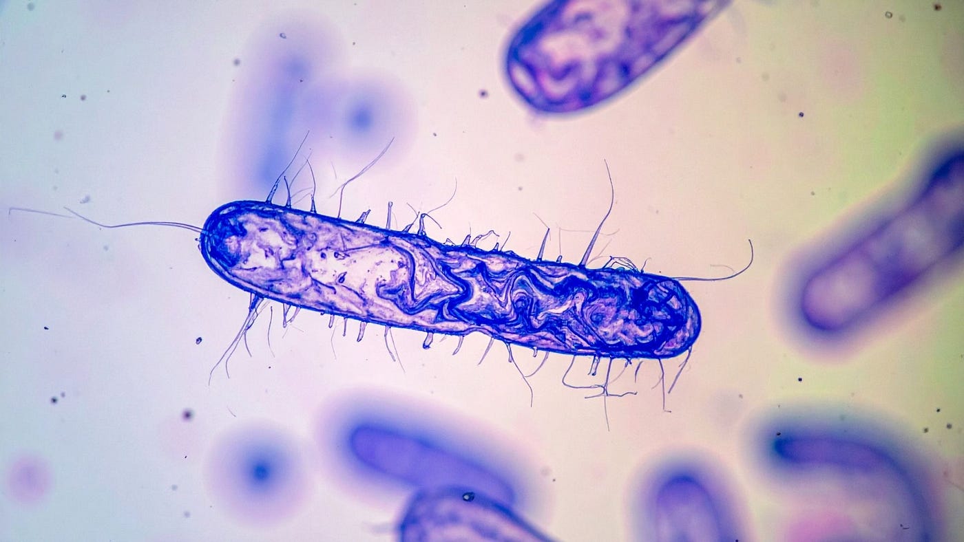 India’s Superbug Alarm: 83% of Patients Already Carry Drug-Resistant Bacteria
