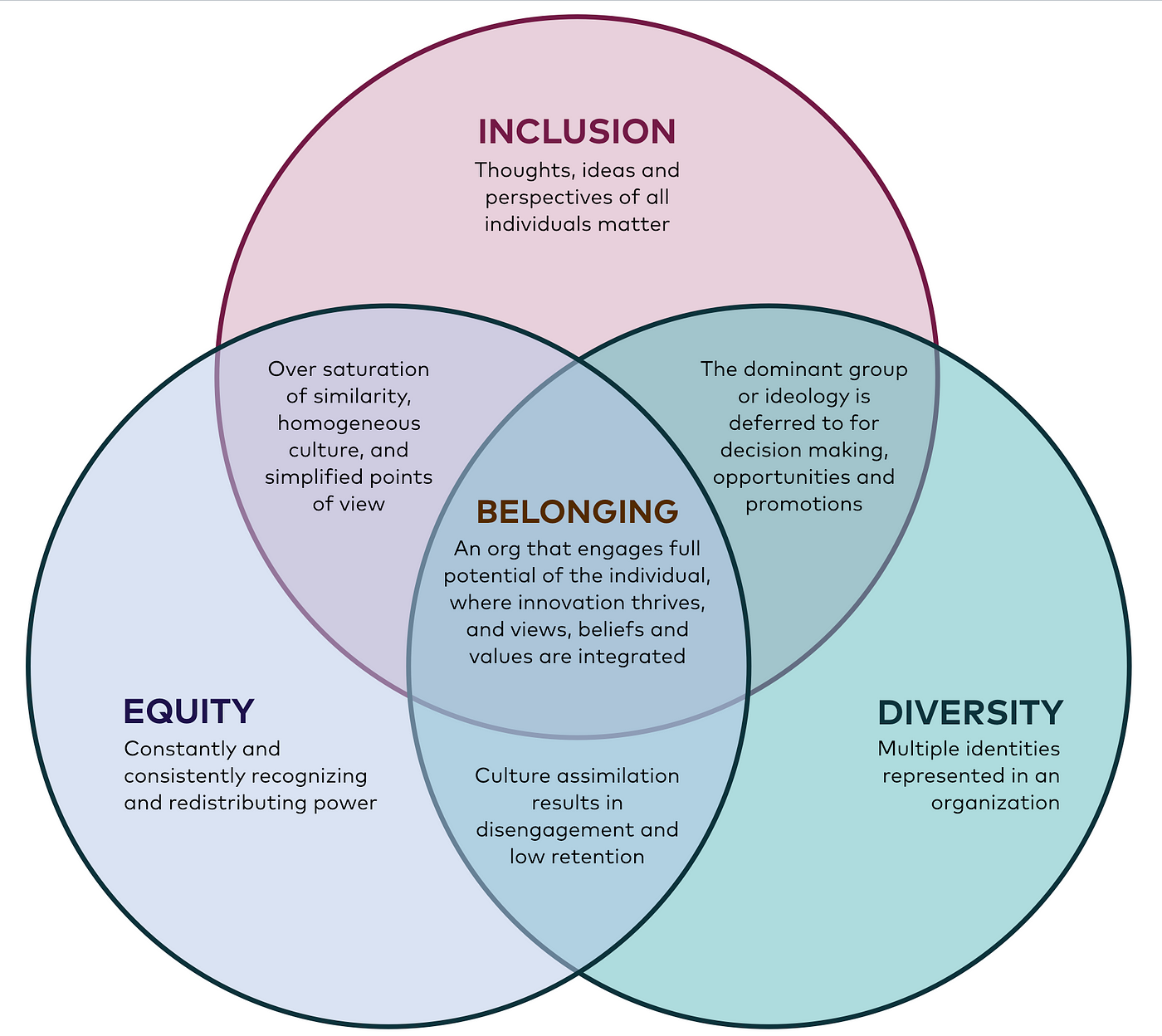 Belonging: A Conversation about Equity, Diversity, and Inclusion | by Krys  | Medium