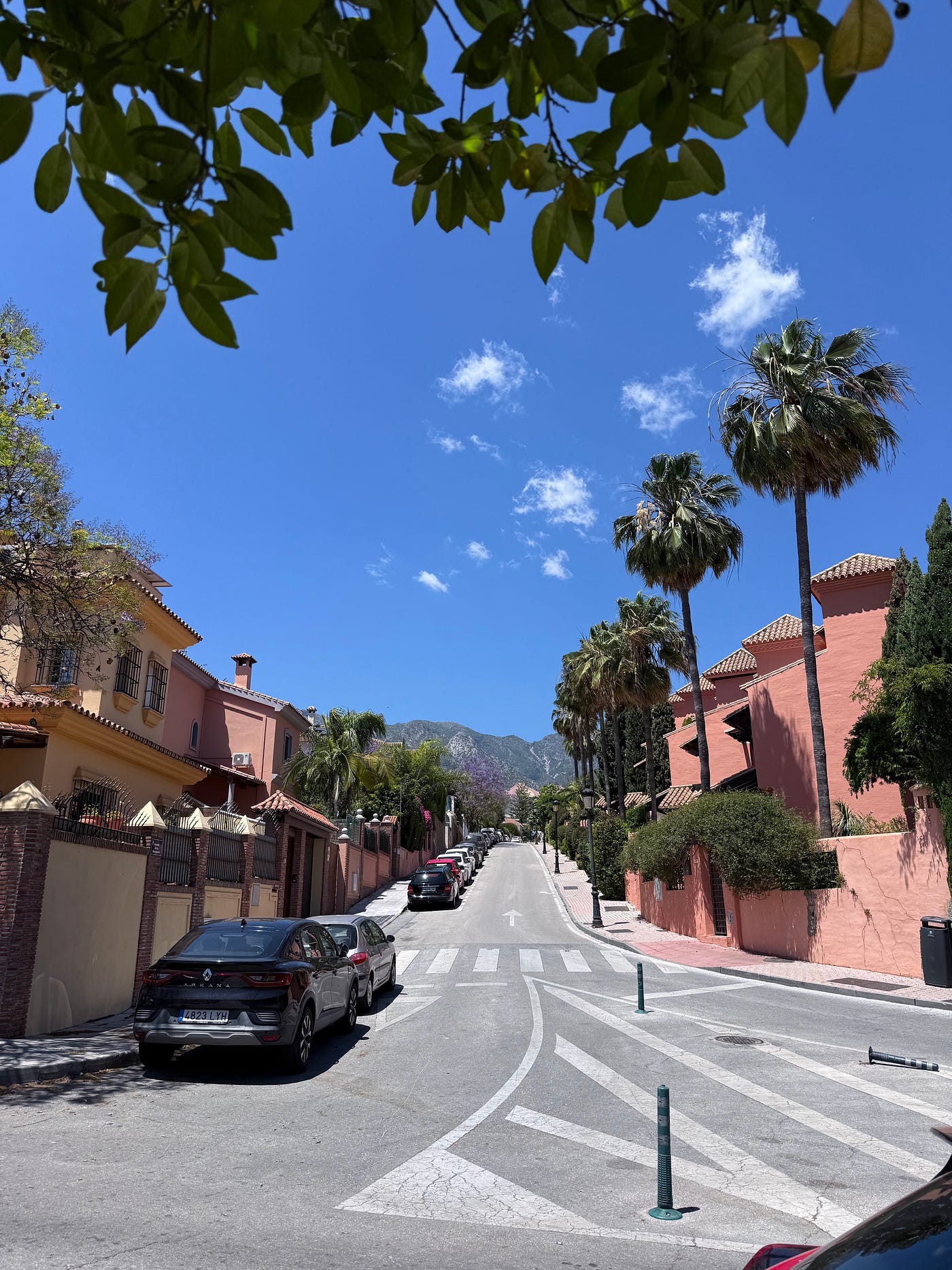Building a Bilingual Brand: What I Learned Marketing Wellness in Spain