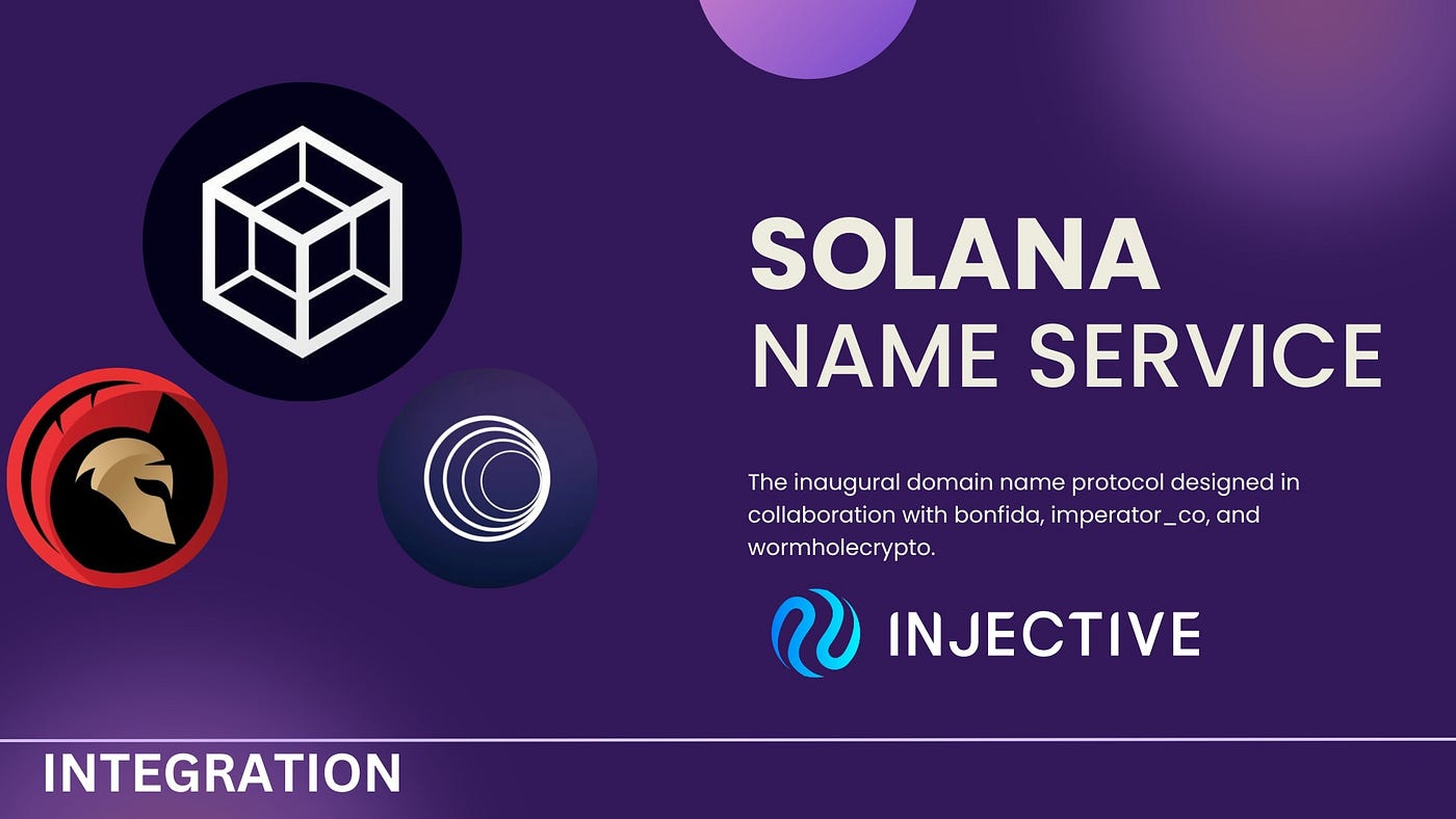 Unveiling the Future of Interoperable Domain Names: Solana Name Service  Integration on Injective | by Elnass | Medium