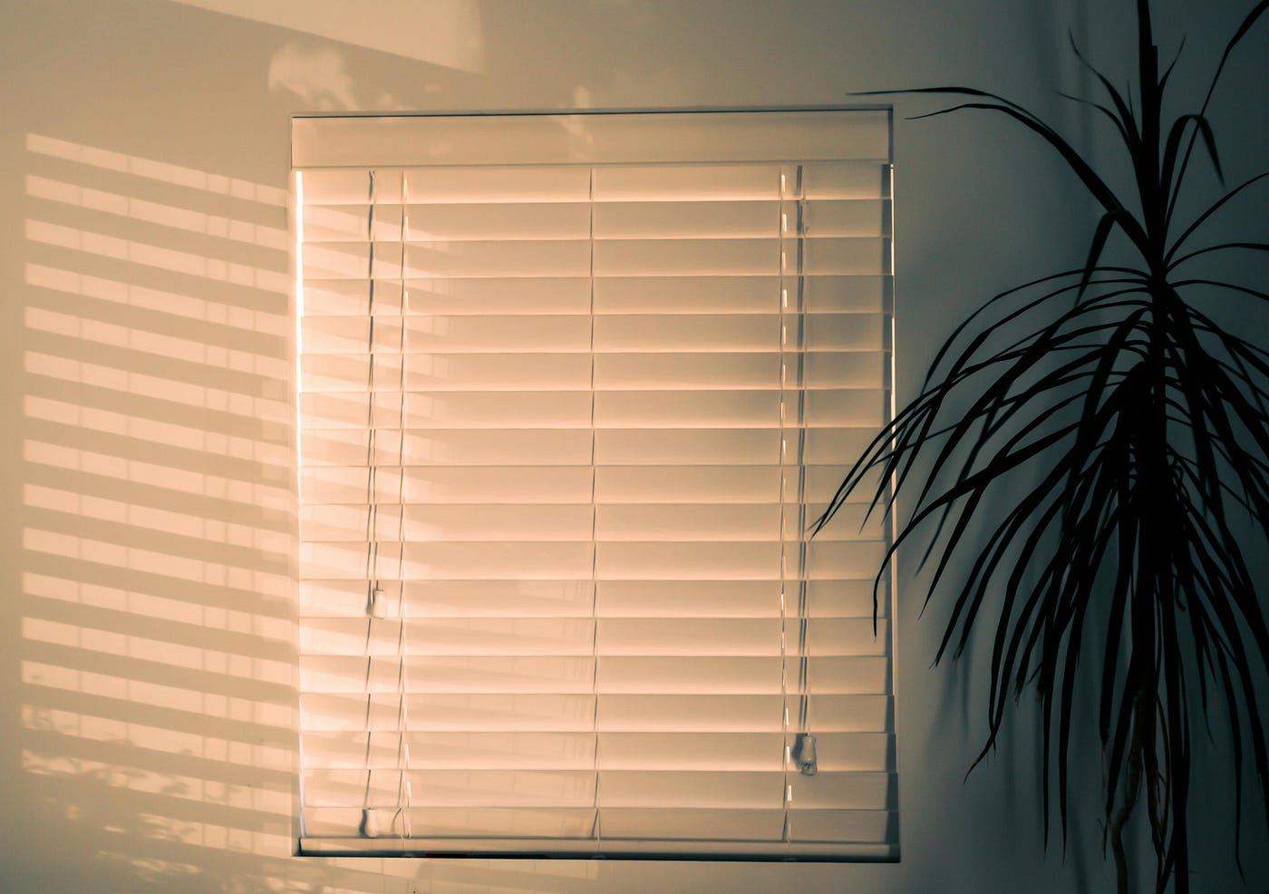 THE BEST WINDOW BLINDS WHOLESALER IN DEHRADUN || ELEVATING YOUR SPACE WITH STYLE AND FUNCTIONALITY