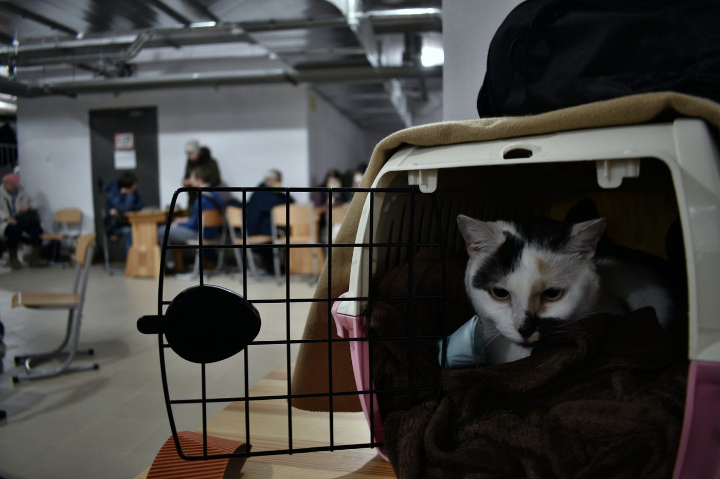 If it Fits, he Sits…