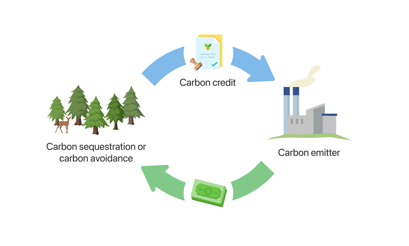What are carbon credits: offsets and allowances | Medium