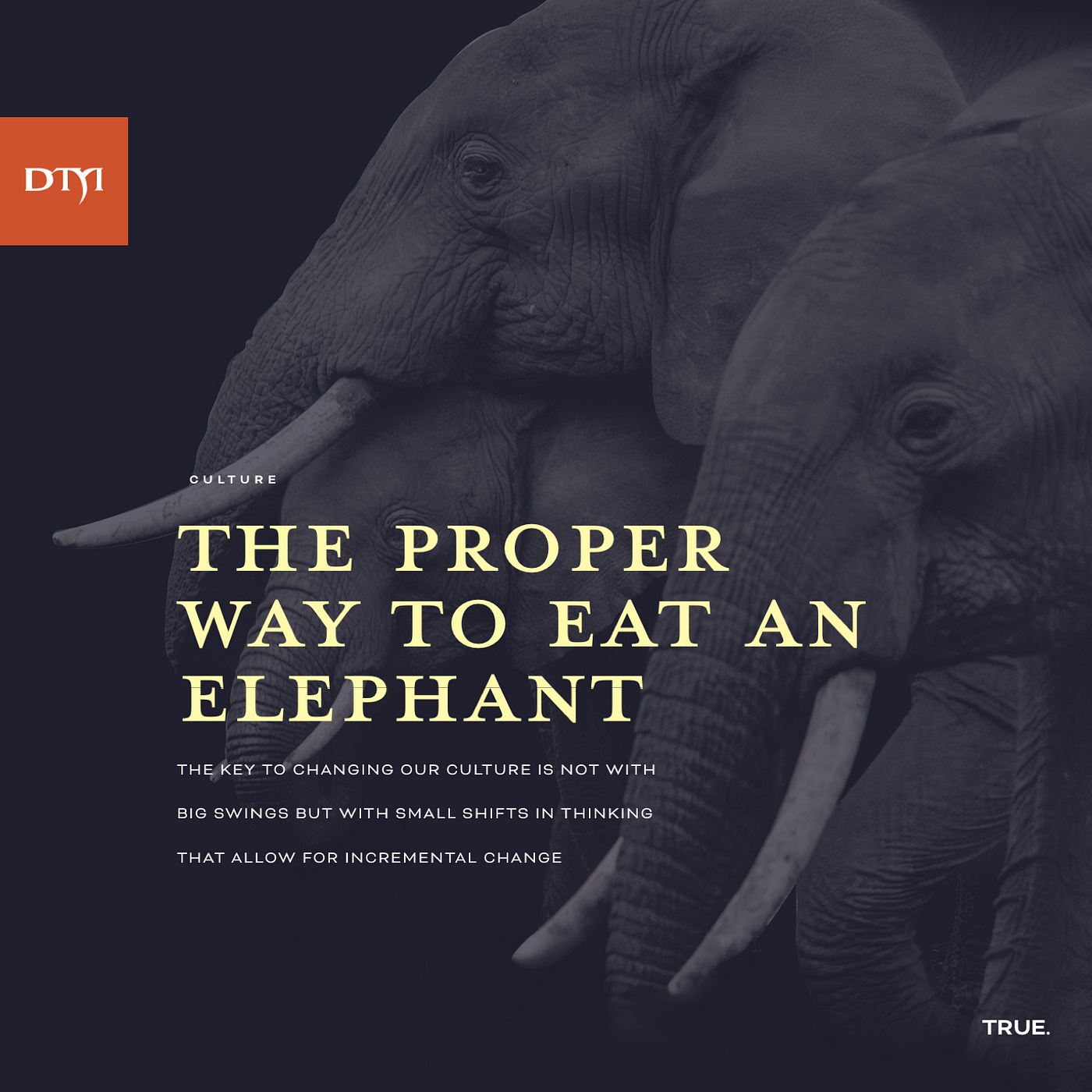 How to grow innovation elephants in large organizations
